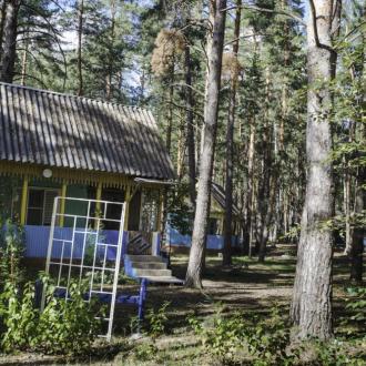 ДОЛ  Лукоморье В Липецкой Области | Фото 13