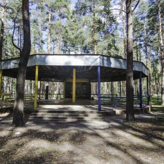 ДОЛ  Лукоморье В Липецкой Области | Фото 15