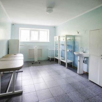 ДОЛ  Лукоморье В Липецкой Области | Фото 16