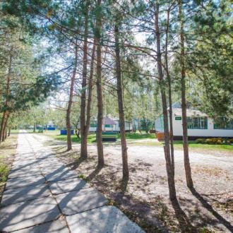 ДОЛ  Березка | Фото 4