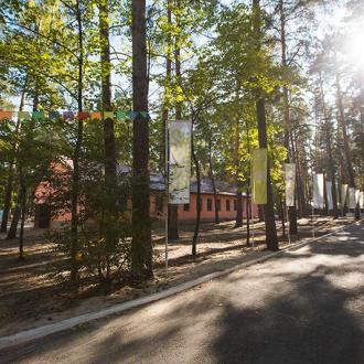 ДОЛ  Елочка В Липецкой Области | Фото 11