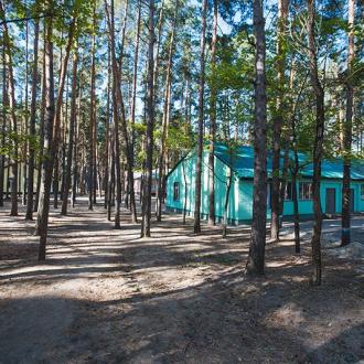 ДОЛ  Елочка В Липецкой Области | Фото 13