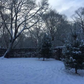 Велесов Лес | Фото 10