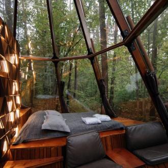 Pine River | Фото 7