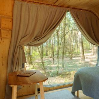 Pine River | Фото 19