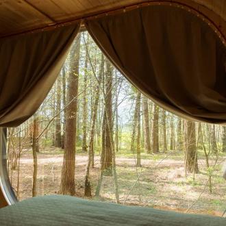 Pine River | Фото 21