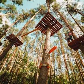 Галдым | Фото 11