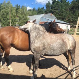 База отдыха Сумбулово | Фото 24