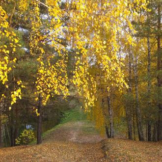 База отдыха Сумбулово | Фото 29