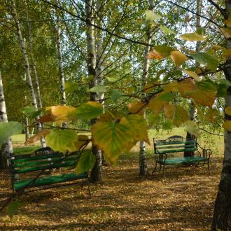 База отдыха Сумбулово | Фото 32