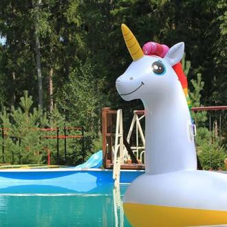 Воробьи | Фото 9