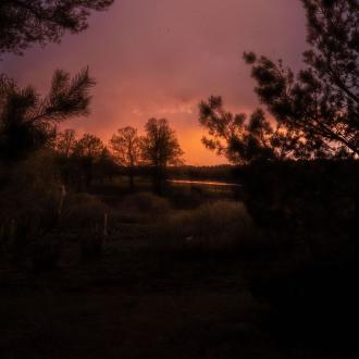 Русский Лес | Фото 18