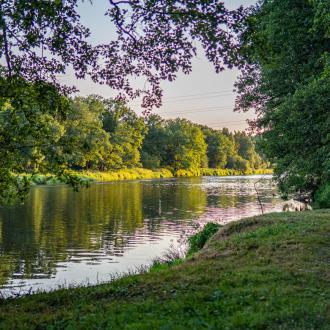 Русский Лес | Фото 19