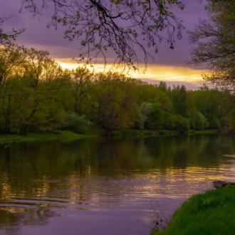 Русский Лес | Фото 21