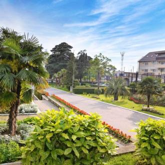 Бирюза | Фото 1