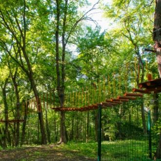 Поленово | Фото 10