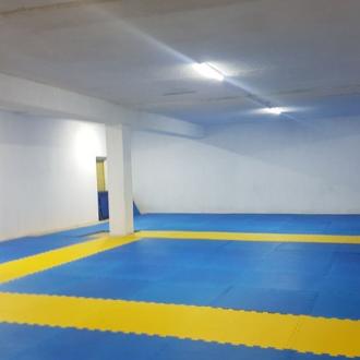 Веселый Дельфин | Фото 4