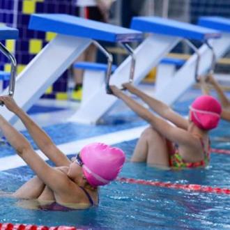 Веселый Дельфин | Фото 12