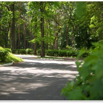 Санаторий Золотые пески | Фото 17