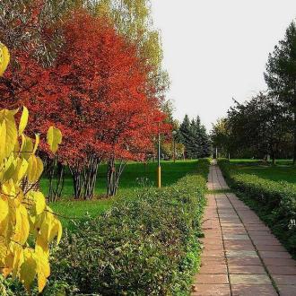 Клуб-Отель Подмосковный | Фото 4