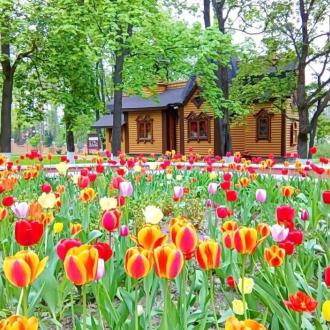 Клуб-Отель Подмосковный | Фото 7