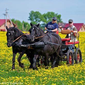 Спортивный отель Ярославль | Фото 18
