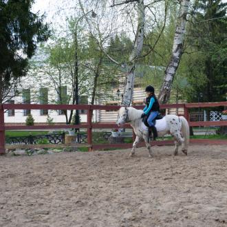 Спортивный отель Ярославль | Фото 20