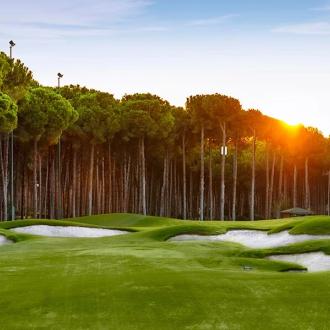 Regnum Garya | Фото 5