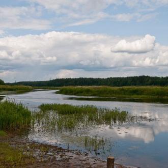 Аннушка | Фото 15