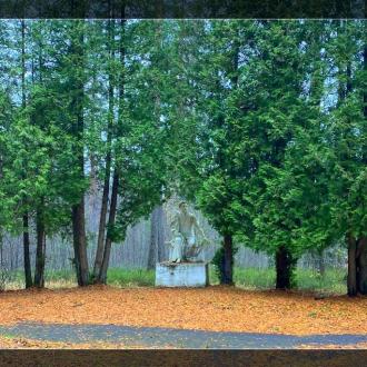 Олимпийские надежды | Фото 9