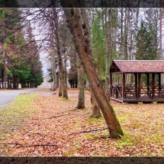 Олимпийские надежды | Фото 22