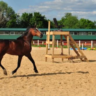 X-Land парк | Фото 13