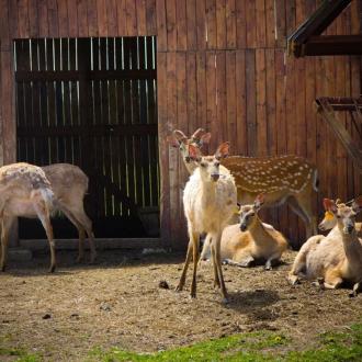 X-Land парк | Фото 24