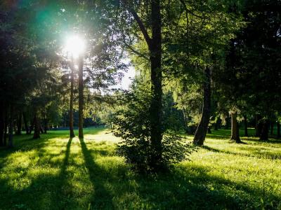 Детский Наукоград
