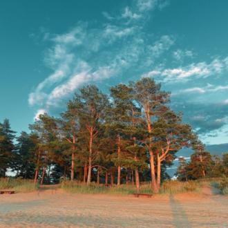 База отдыха Заостровье | Фото 17