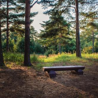 База отдыха Заостровье | Фото 20