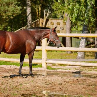 Яхонты | Фото 20