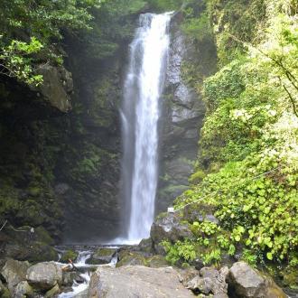 Отель Жемчужина | Фото 15