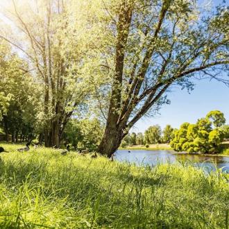 Видземский | Фото 26