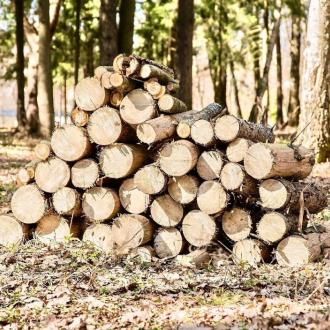 Голубая Речка | Фото 21