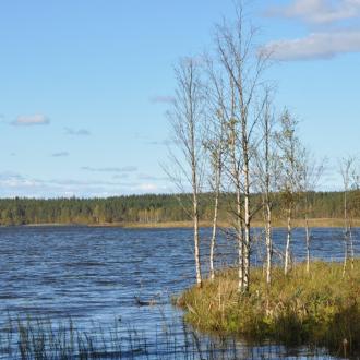 База отдыха Спартак | Фото 33