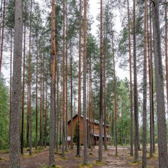 База отдыха Спартак | Фото 31