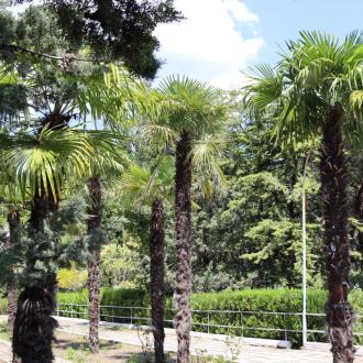 Крымский берег | Фото 41