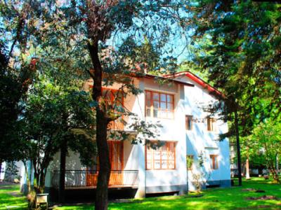 Крымский берег