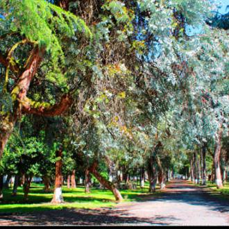 Крымский берег | Фото 15