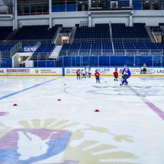 Ледовый дворец спорта Лада-Арена | Фото 5