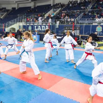 Ледовый дворец спорта Лада-Арена | Фото 11