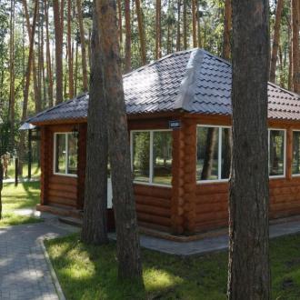 Галдым | Фото 22