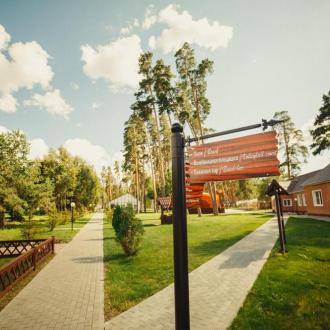 Галдым | Фото 25