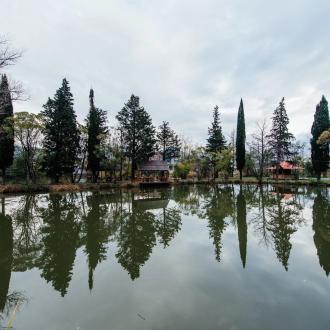 Эко-Отель Дивный | Фото 10